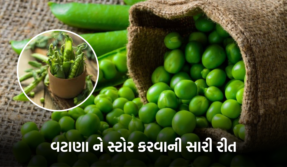 વટાણા ને સ્ટોર કરવાની સારી રીત